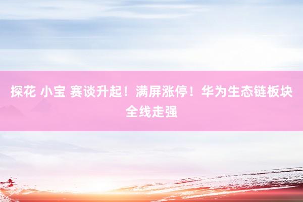 探花 小宝 赛谈升起！满屏涨停！华为生态链板块全线走强
