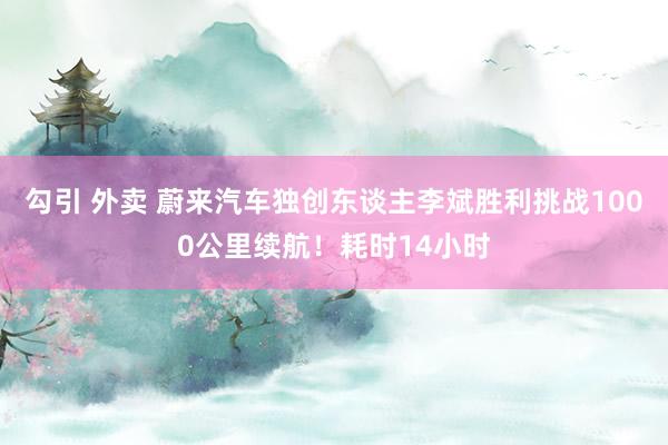 勾引 外卖 蔚来汽车独创东谈主李斌胜利挑战1000公里续航！耗时14小时