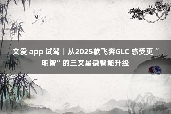文爱 app 试驾｜从2025款飞奔GLC 感受更“明智”的三叉星徽智能升级