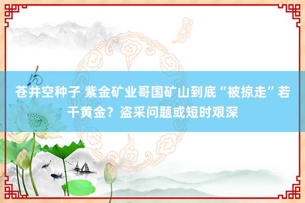 苍井空种子 紫金矿业哥国矿山到底“被掠走”若干黄金？盗采问题或短时艰深