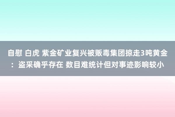 自慰 白虎 紫金矿业复兴被贩毒集团掠走3吨黄金：盗采确乎存在 数目难统计但对事迹影响较小