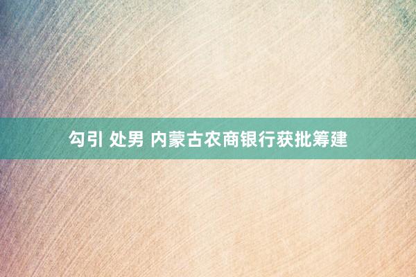 勾引 处男 内蒙古农商银行获批筹建