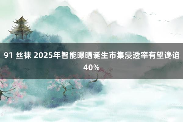 91 丝袜 2025年智能曝晒诞生市集浸透率有望谗谄40%