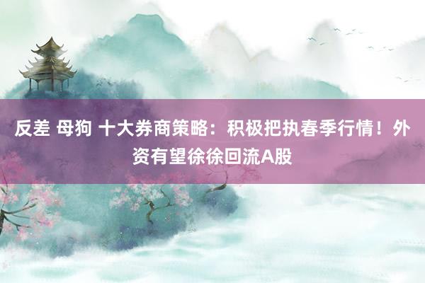 反差 母狗 十大券商策略：积极把执春季行情！外资有望徐徐回流A股