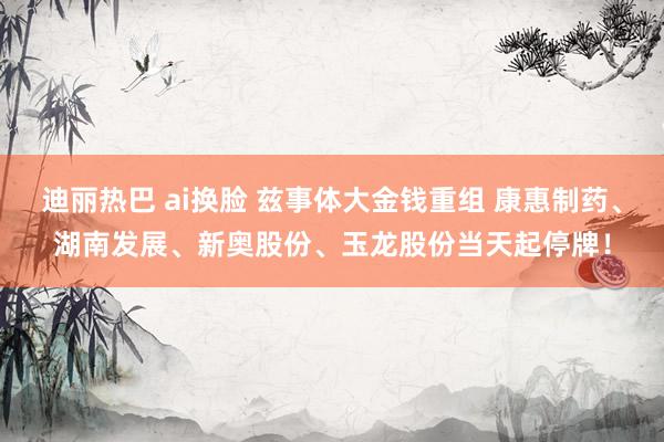 迪丽热巴 ai换脸 兹事体大金钱重组 康惠制药、湖南发展、新奥股份、玉龙股份当天起停牌！