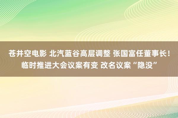 苍井空电影 北汽蓝谷高层调整 张国富任董事长！临时推进大会议案有变 改名议案“隐没”